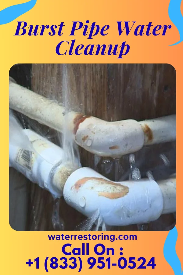 Burst Pipe Water Cleanup in Niagara, ND