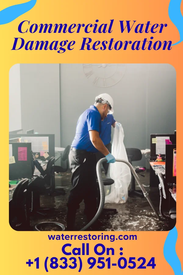 Commercial Water Damage Restoration in Niagara, ND